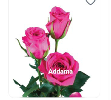 Addama