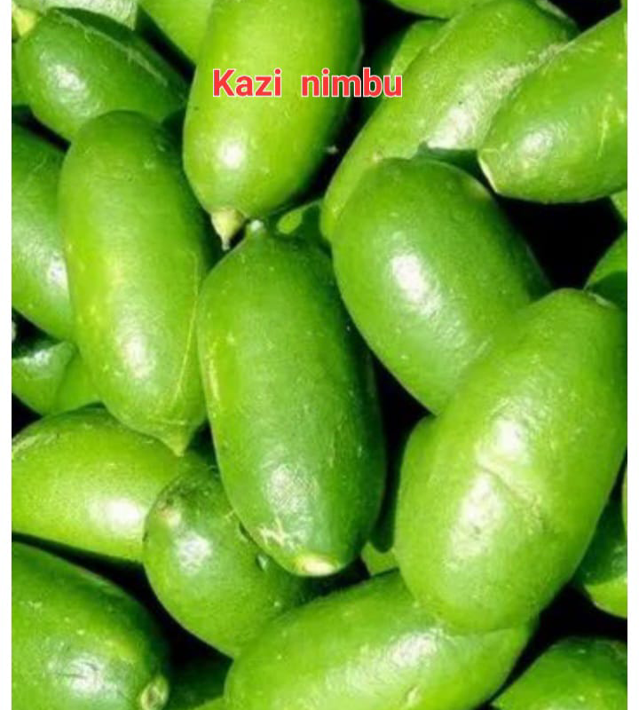 Kaji Nimbu(36-48 Main Branch)