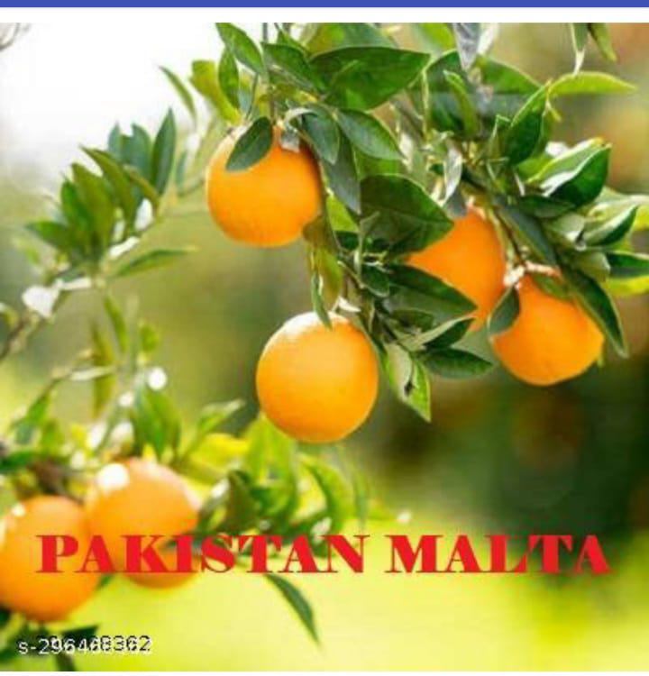 Pakistani Malta