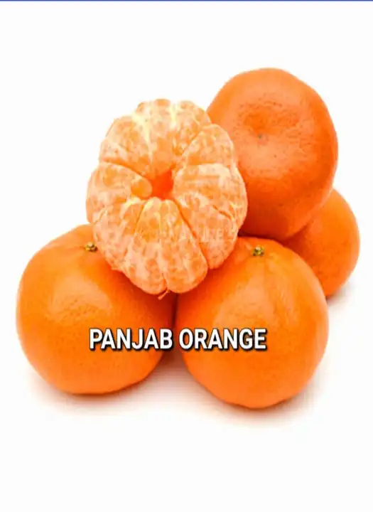 Panjab Orange