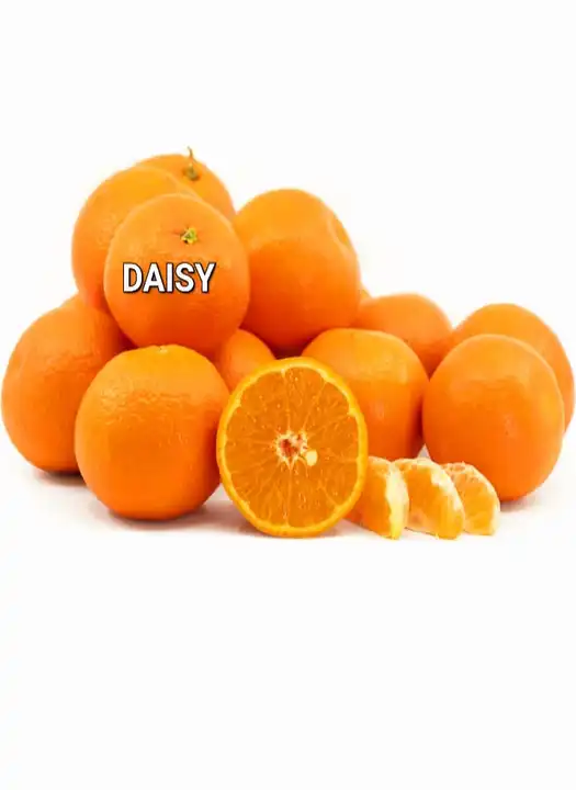 Daisy