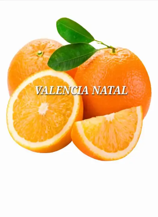 Valencia Natal
